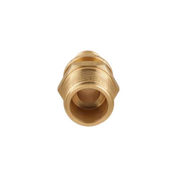 Муфта аксиальная латунная PRO AQUA с наружной резьбой PRO AQUA – фото, характеристики, цена. Фото 6 Муфта аксиальная латунная PRO AQUA с наружной резьбой для систем водоснабжения PRO AQUA. Фото 6